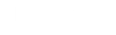 Agile Minds®