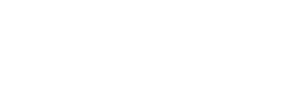 Agile Minds